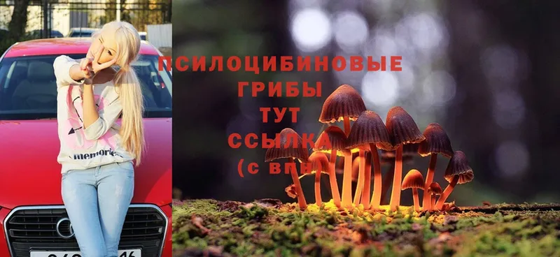 где продают наркотики  Реутов  Псилоцибиновые грибы MAGIC MUSHROOMS 