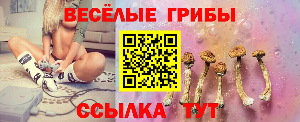 Реутов  Псилоцибиновые грибы MAGIC MUSHROOMS  Галлюциногенные грибы Magic Shrooms  Вход с VPN 